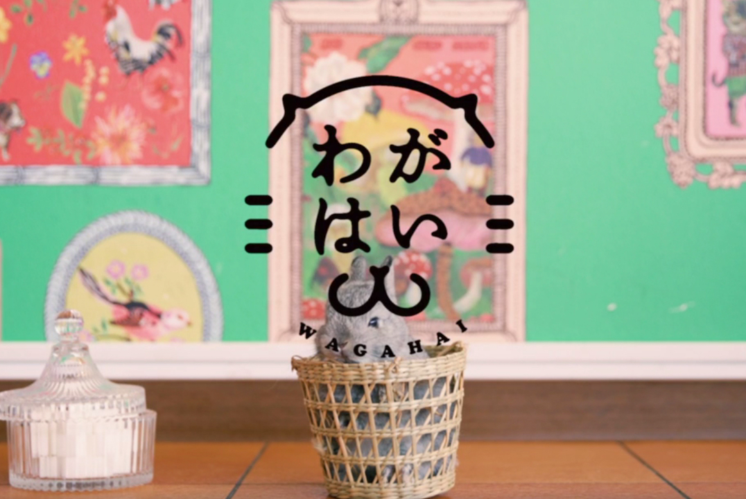 Yahoo Japan - toubun